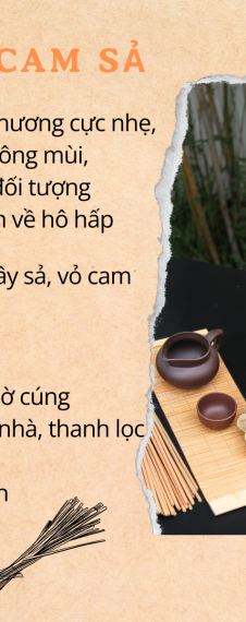 CAM SẢ