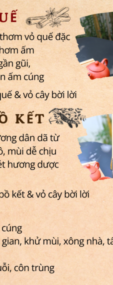 BỒ KẾT